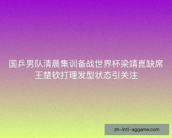 国乒男队清晨集训备战世界杯梁靖崑缺席王楚钦打理发型状态引关注